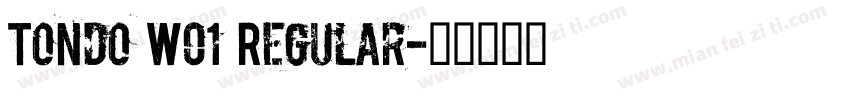 Tondo W01 Regular字体转换